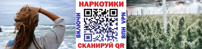 Купить наркотики цена Озёрск Alpha PVP  МЕТАМФЕТАМИН  АМФ  Галлюциногенные грибы  МЕФ  ГАШ  Канабис 