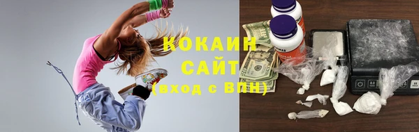 стаф Богородск