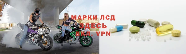 стаф Богородск