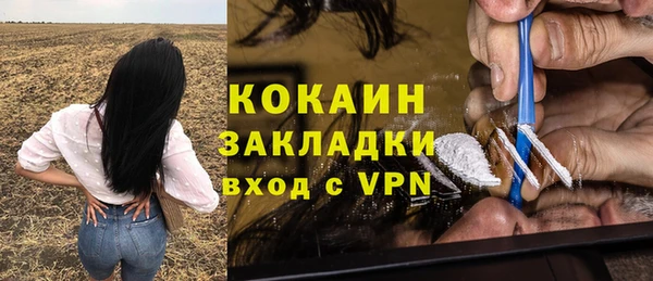 стаф Богородск