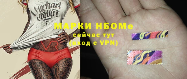 стаф Богородск