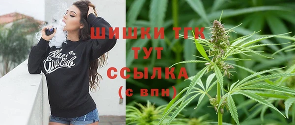 сатива Белокуриха